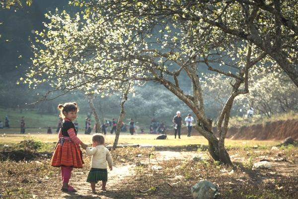 Une famille se promenant dans un parc au milieu d'arbres en fleurs.