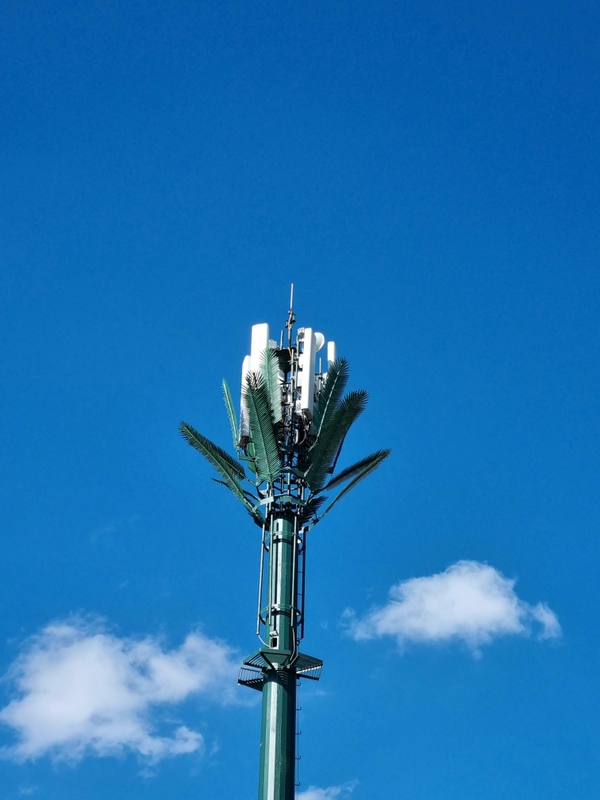 Als Palme getartner Handymast in Marokko