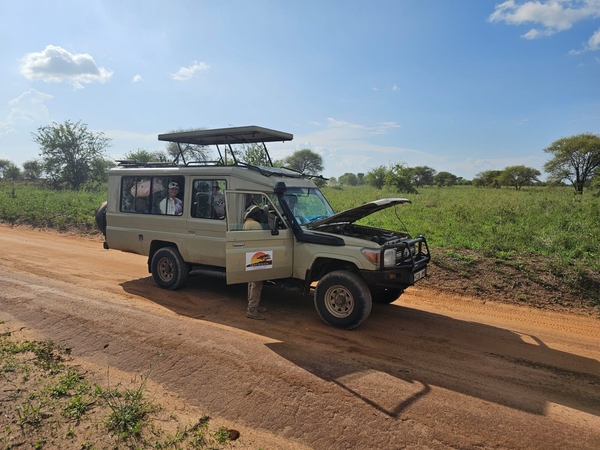 Stehengebliebenes Auto in der Serengeti mit offener Motorhaube