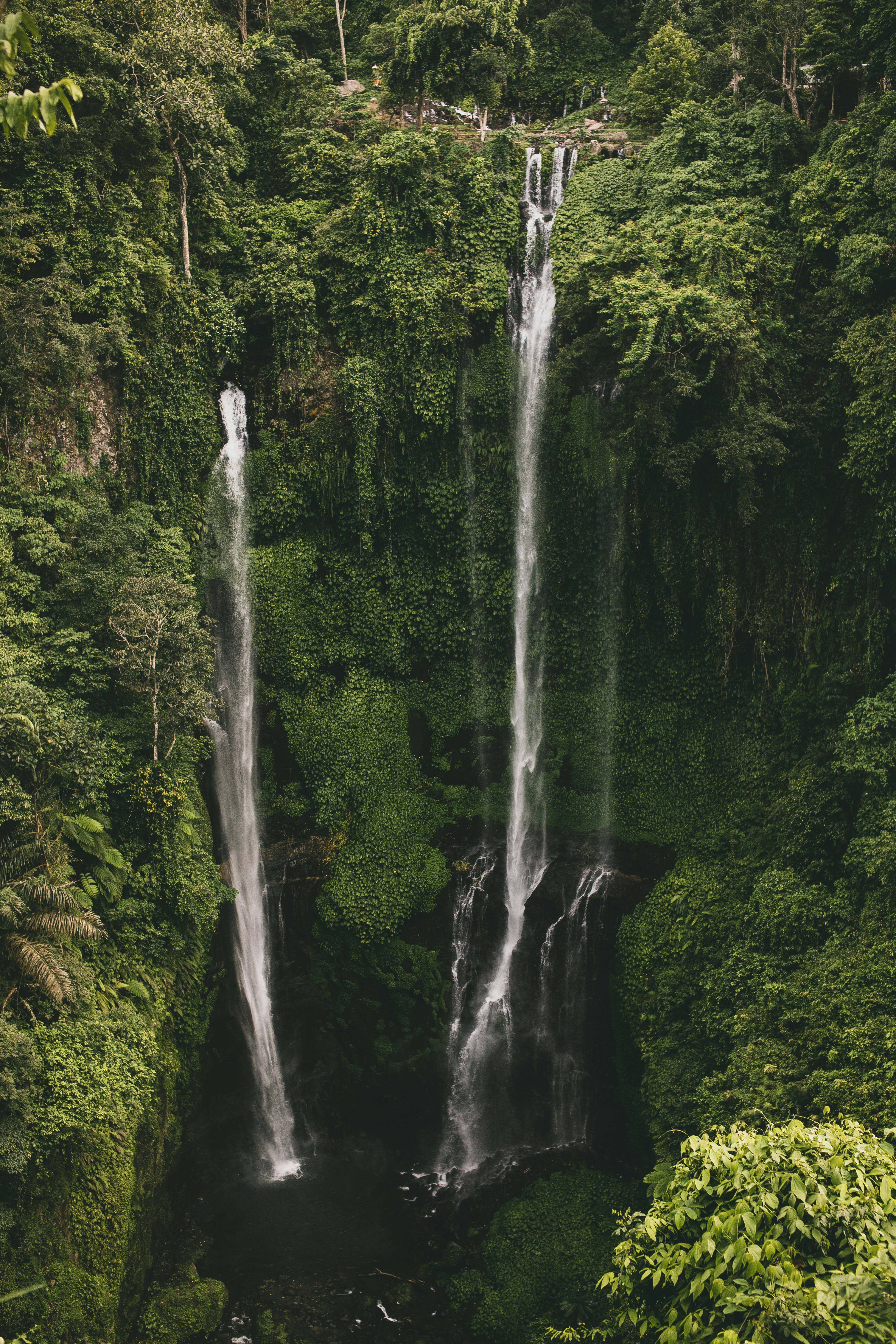 Postkarte vom Sekumpul Wasserfall, Bali, Indonesia