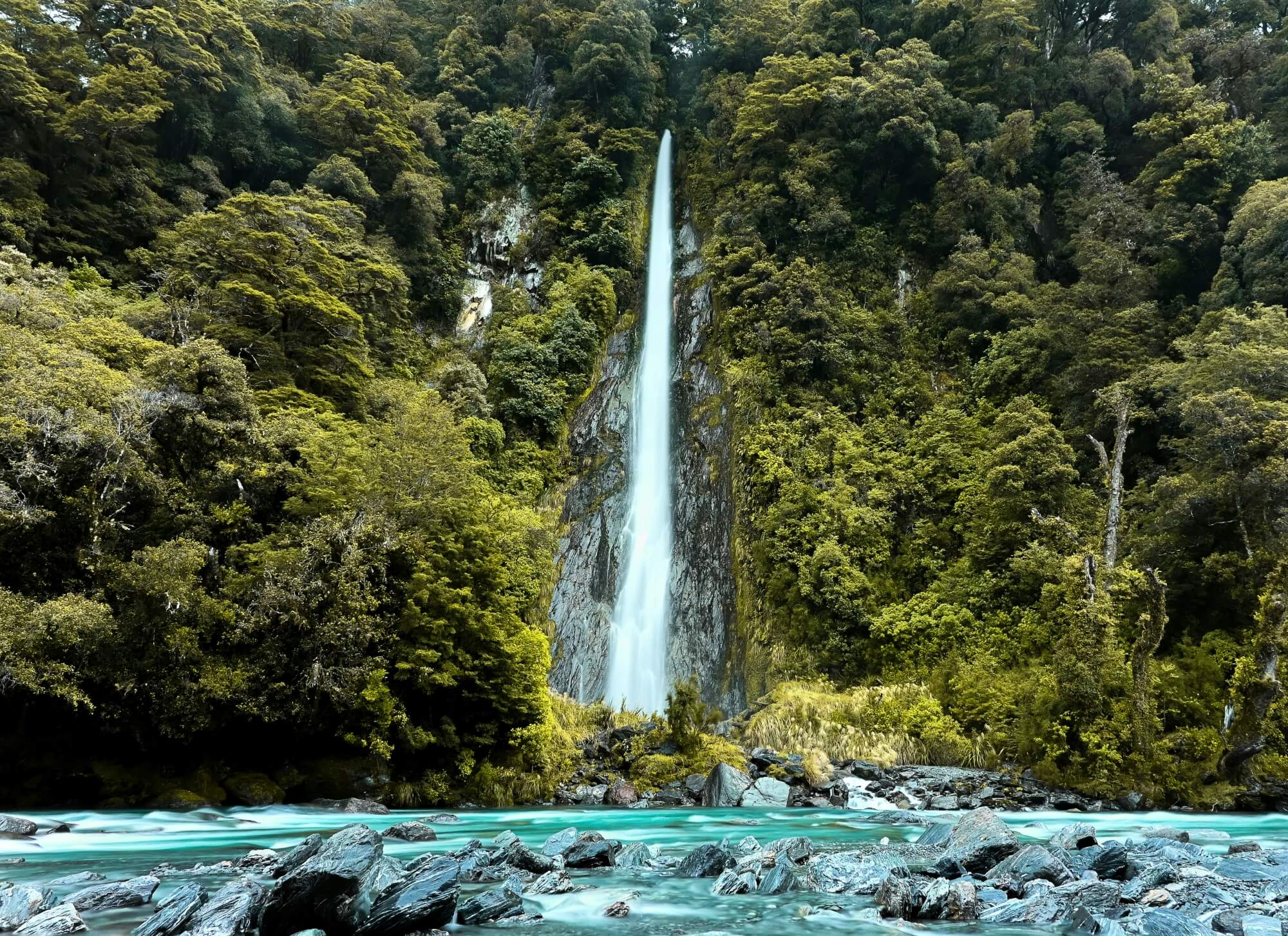 Thunder Creek Falls in Mt Aspiring National Park, West Coast Neuseeland.