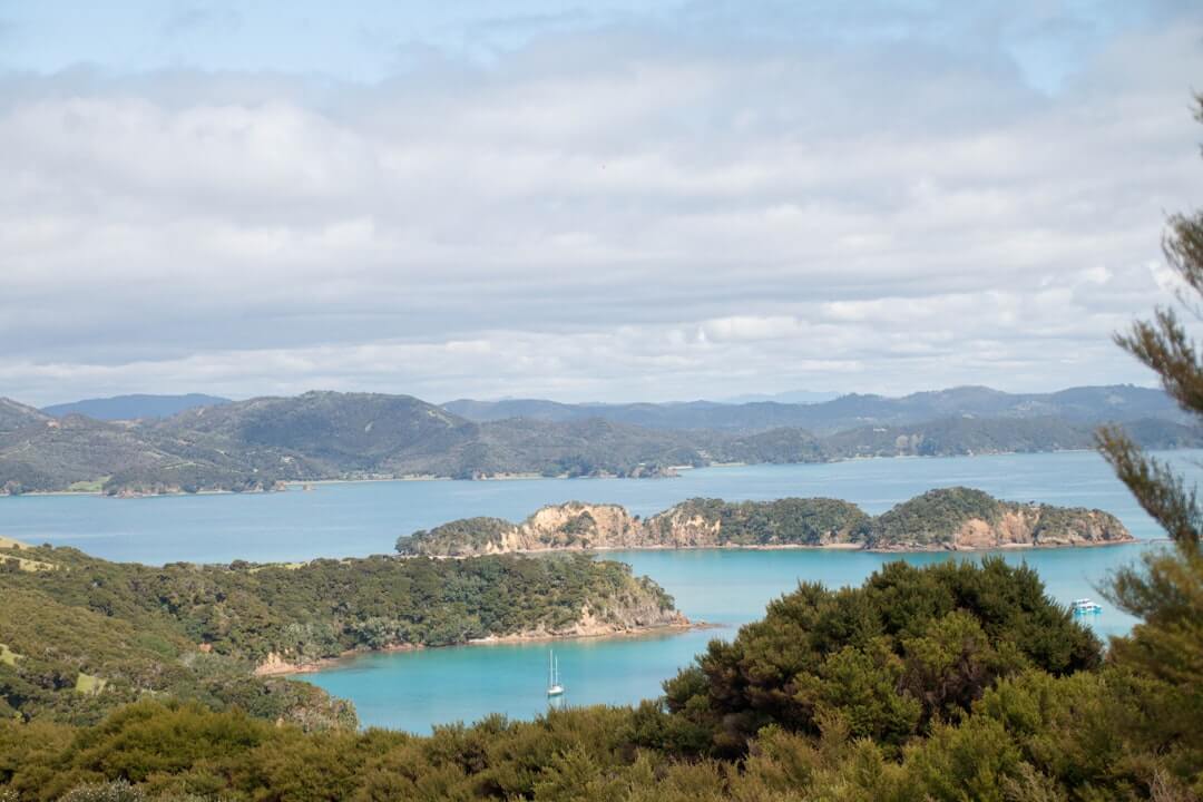 Malerischer See umgeben von üppigen grünen Wäldern in Neuseeland.