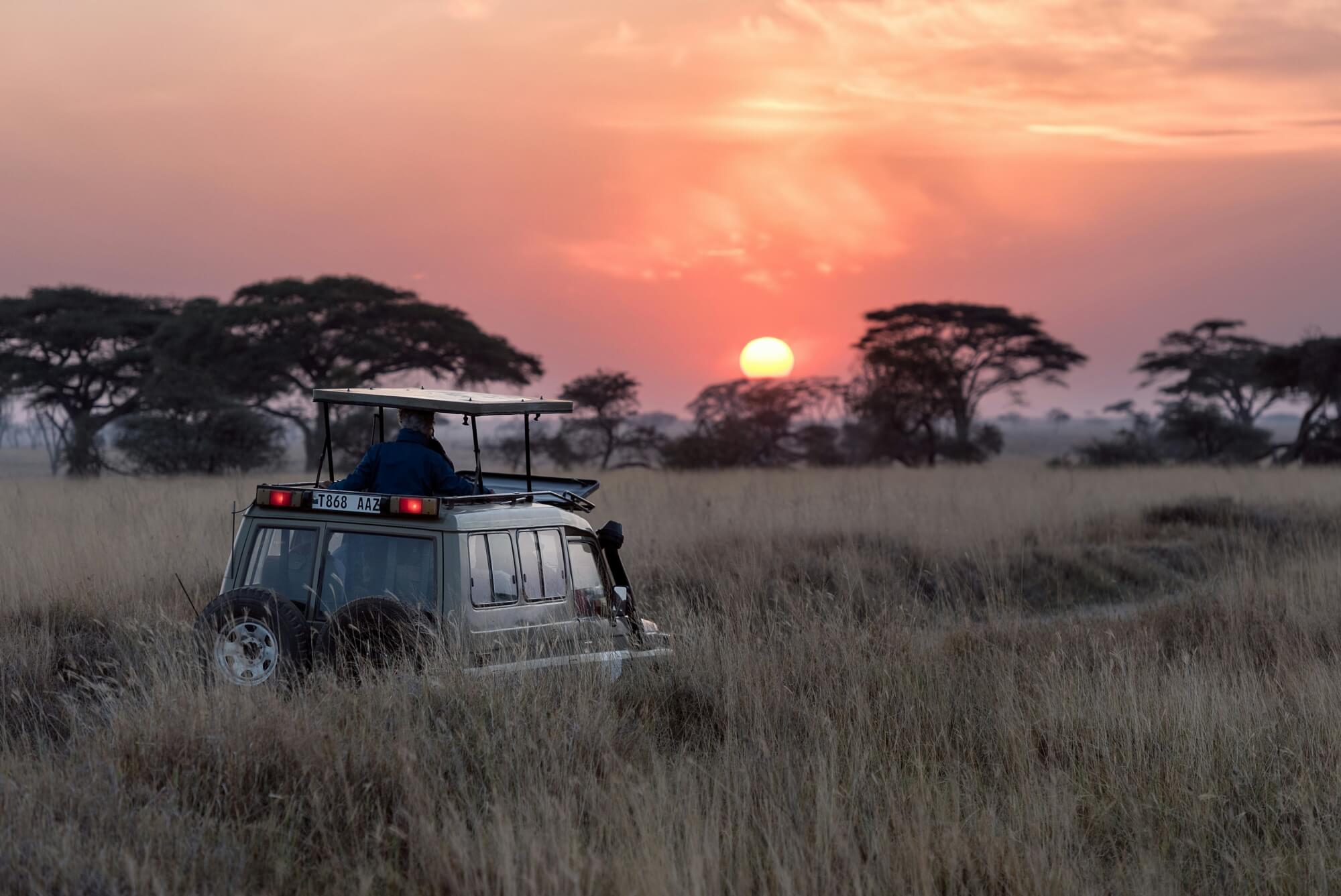 Ein Mann fährt bei Sonnenuntergang in einem Jeep durch die Savanne der Serengeti in Tansania.