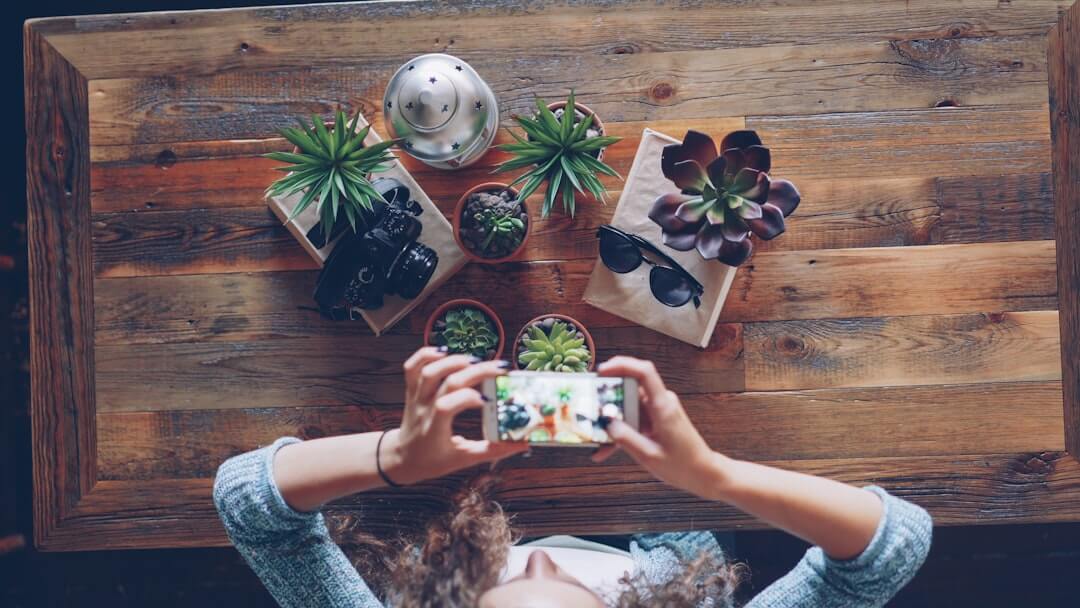 Hände halten ein Smartphone und fotografieren eine Pflanze
