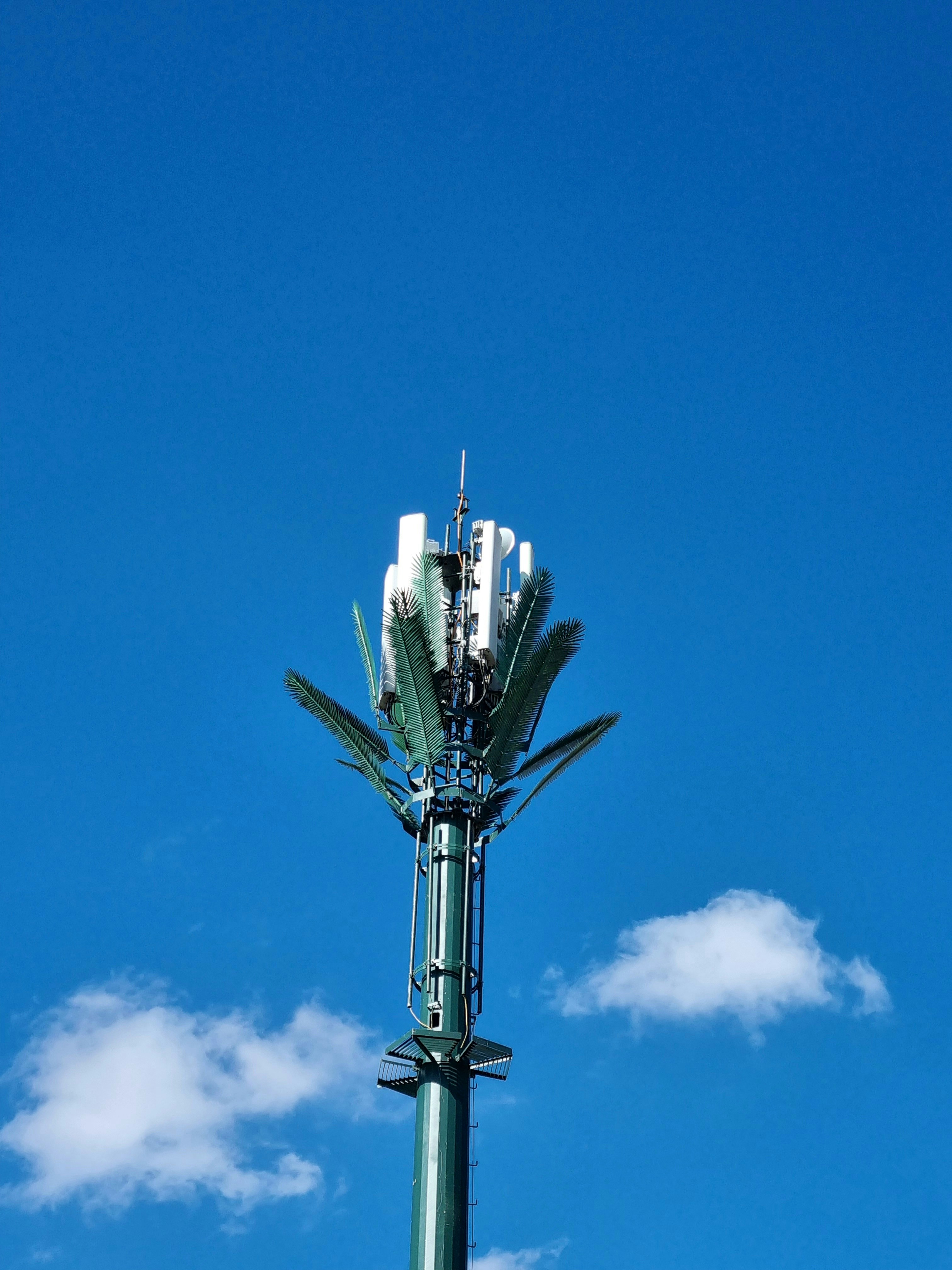Mobile phone mast camouflaged as a palm tree in Morocco